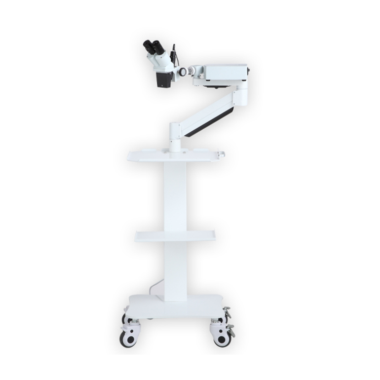 microscopio dental, laboratorio dental, clínica dental, dental,